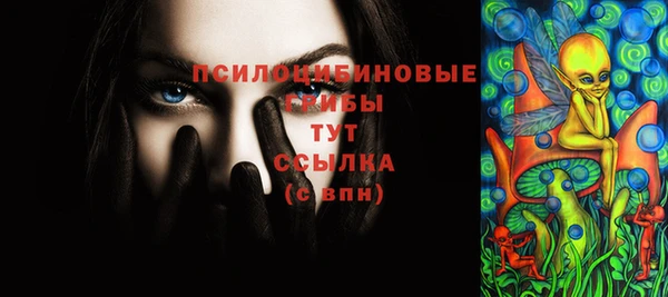 дмт Каменка