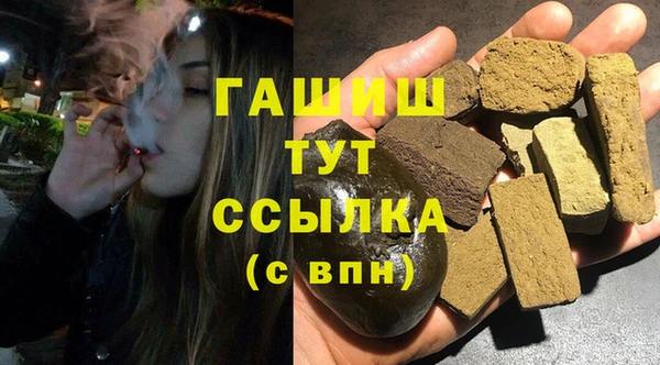 дмт Каменка