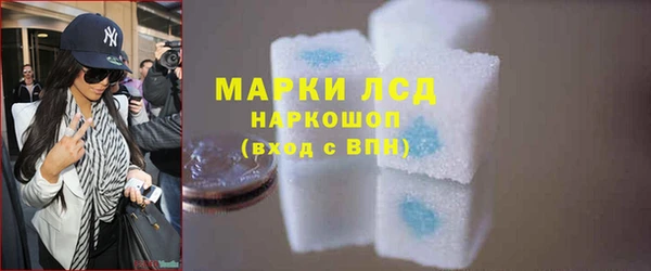 дмт Каменка