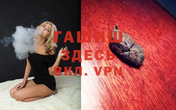 дмт Каменка