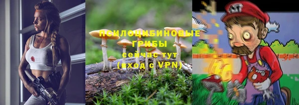 альфа пвп Каменногорск