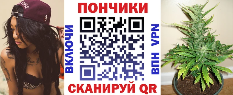 Конопля планчик  Купить где  Строитель 